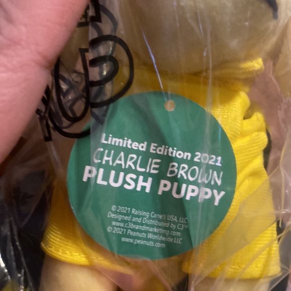 Raising Cane’s | 2021 Charlie Brown - Limited Edition Plush - Picture 4 of 4